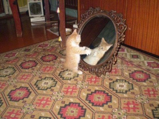 Вика Криштальова | Черкассы