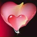 Сергей Веретнов | Санкт-Петербург