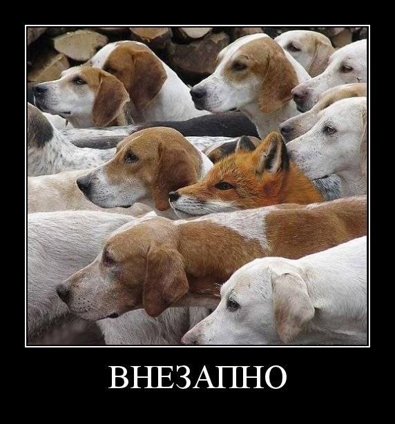 Дмитрий Феоктистов | Ульяновск