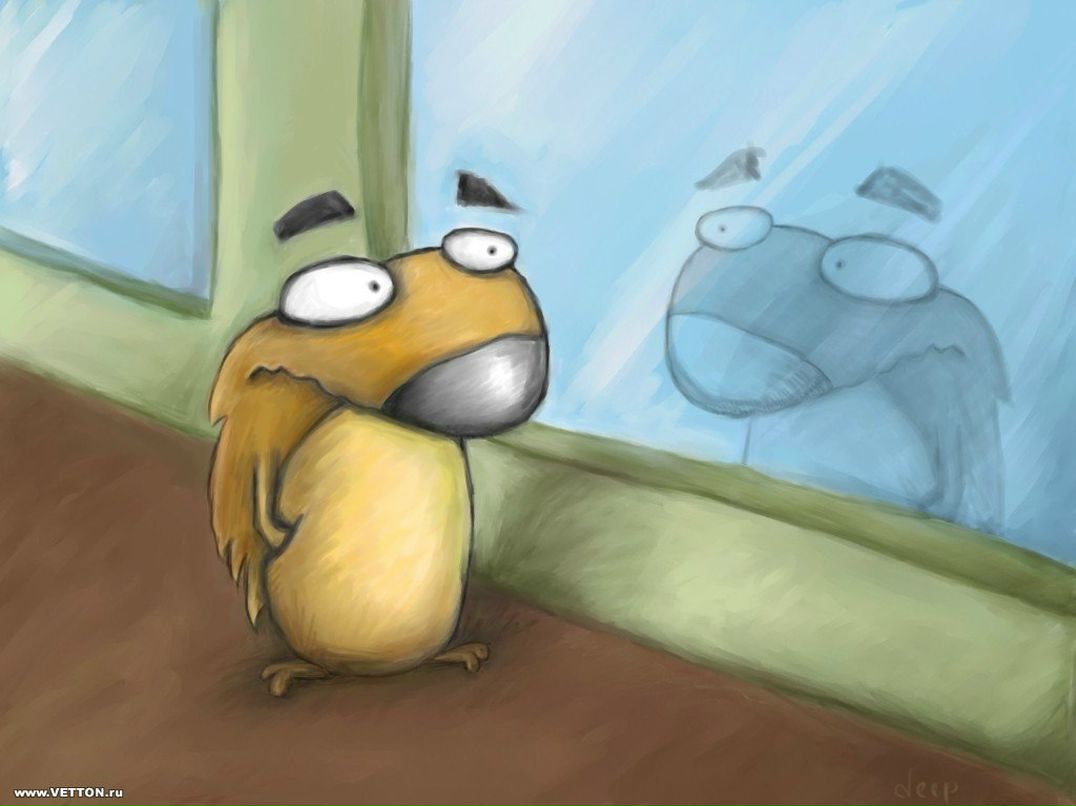 Яна Басацкая | Донецк