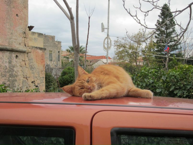 Вероника Кассова | 