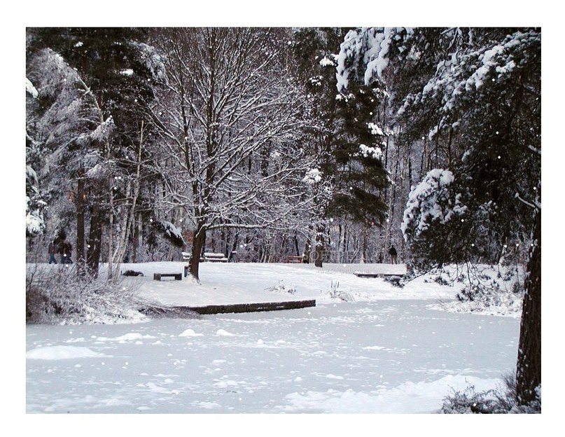 Артур Пронин | Москва