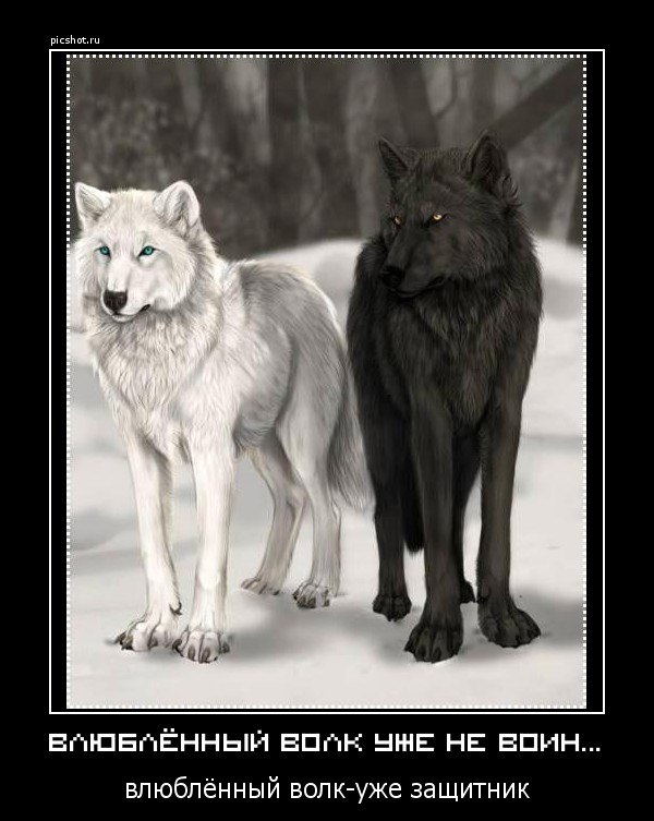 Valera Lee | Санкт-Петербург