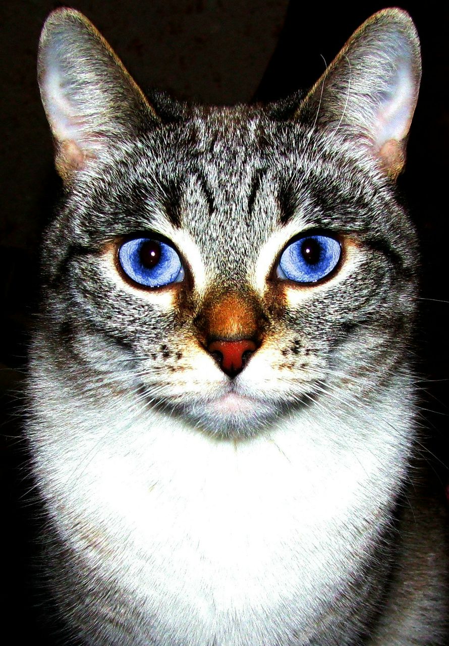 Наталья Гайшун | Шаховская