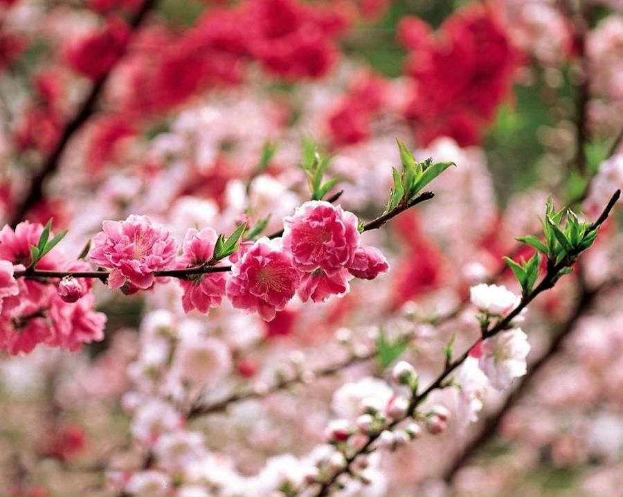 Екатерина Алексеева | Москва