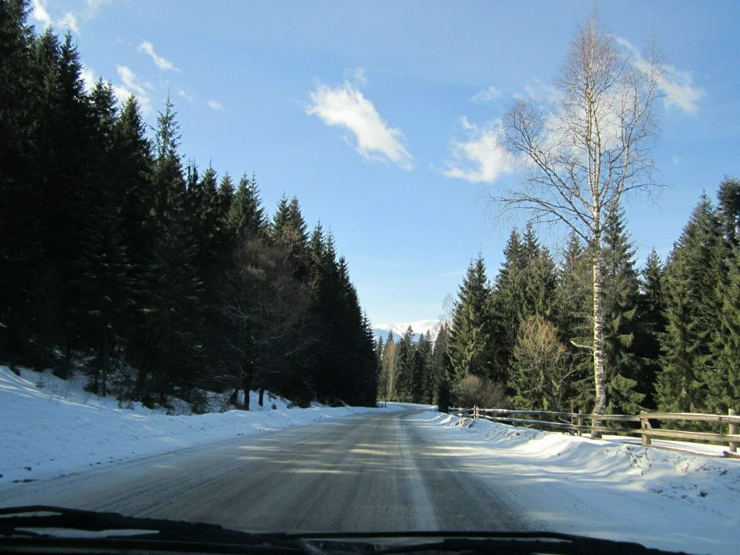 Макс Богач | 