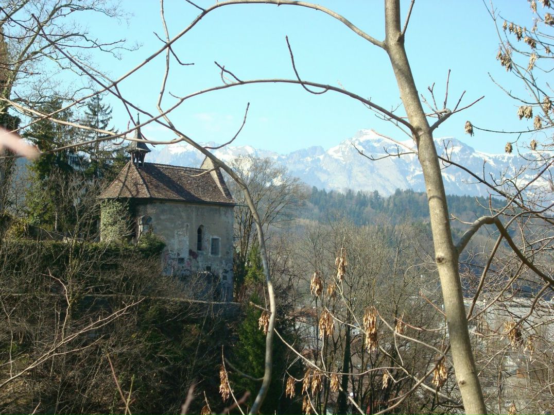 Виталий Сандалиди Ανδροπρεπής | Wien