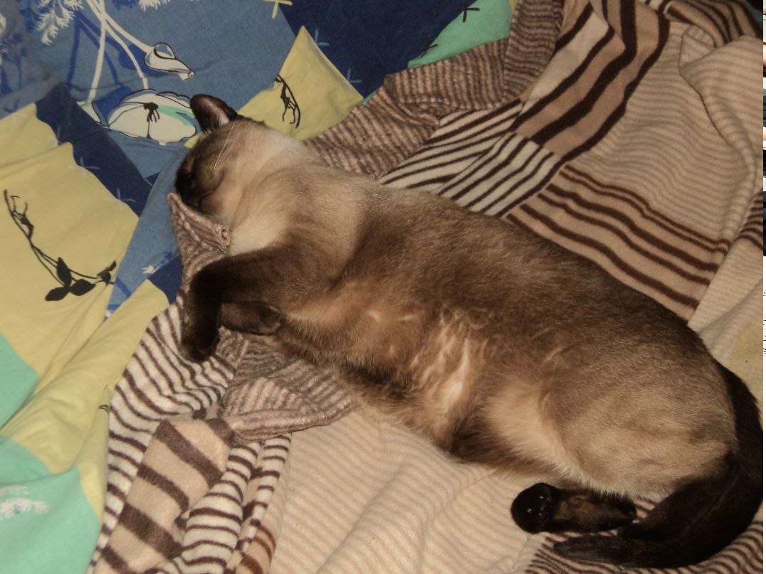 Екатерина Кунилова | Санкт-Петербург