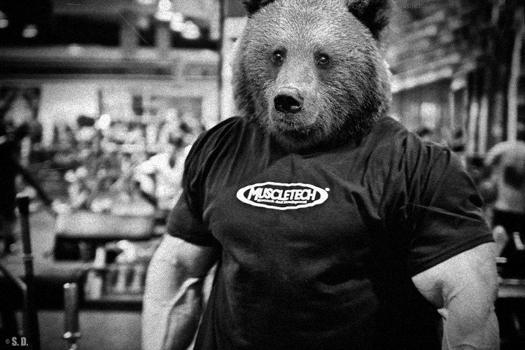 Миша Боярский ✖ДОБРЫЙ✖ | Rio de Janeiro