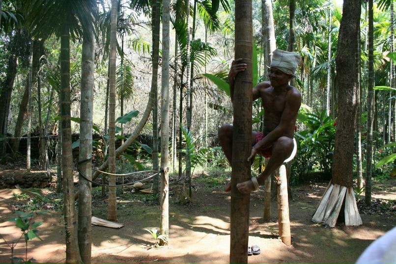 Альфия Ишманова | Уфа