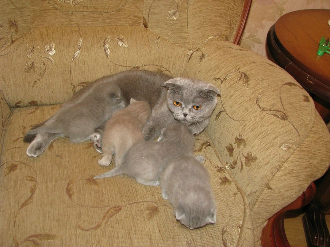 Ирина Хваталина | Зарайск