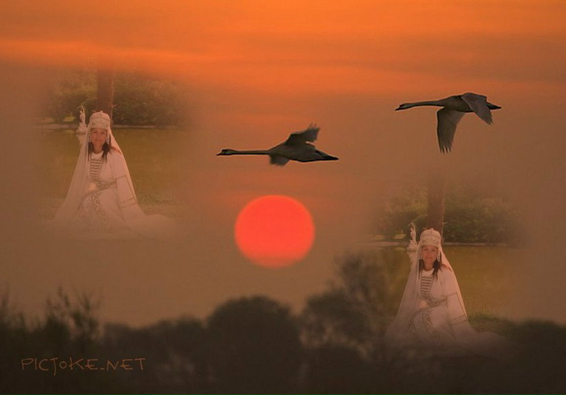 Венера Пугачёва | Москва