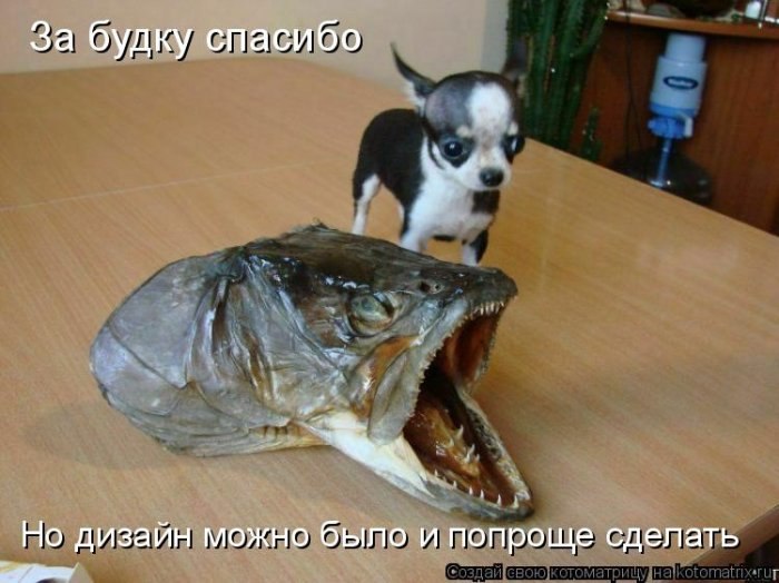 Эльвира Курамшина | Пенза