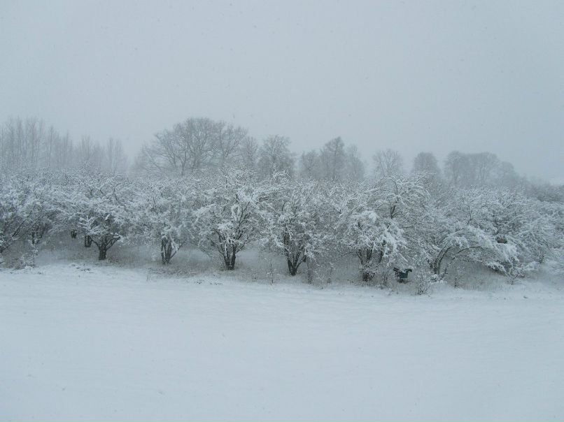 Эрик Заремба | Dobele