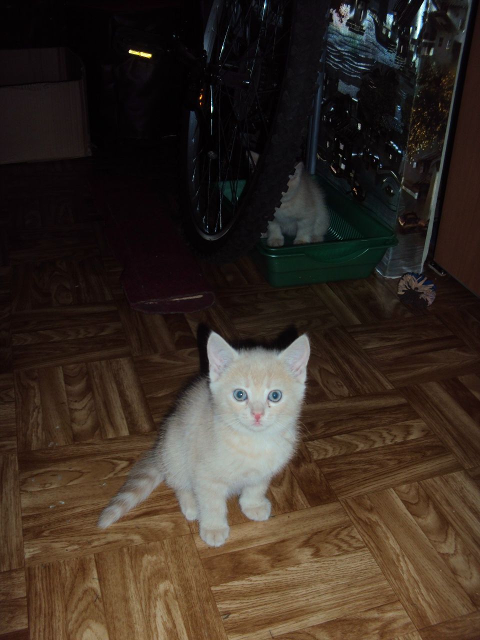 Ирина Тюменева | Новокузнецк