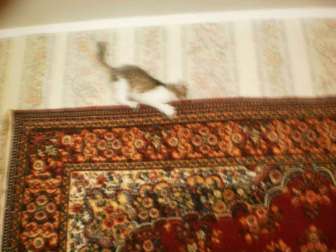 Зинаида Гусева | Макеевка