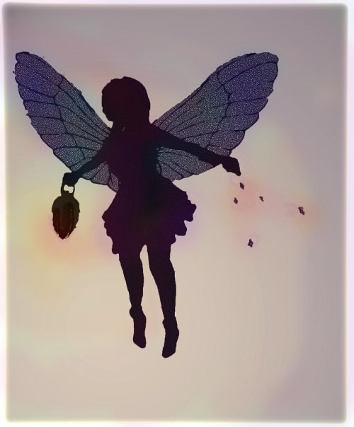 Рита Таранцева Birdy | Москва