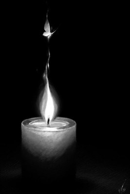 Юля Любохинець | Владимир-Волынский