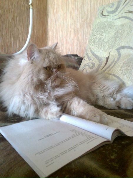 №7, Roman Tlyashev, Шахтинск №7, Roman Tlyashev, Шахтинск