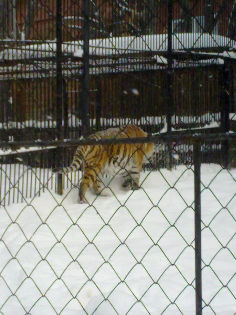 Валентин Пьянков | 
