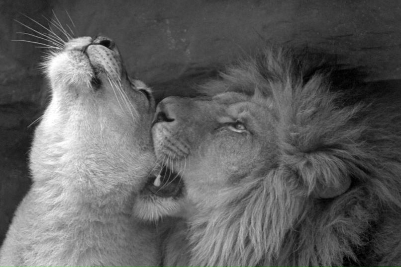 Андрюха Костюшин | Самара