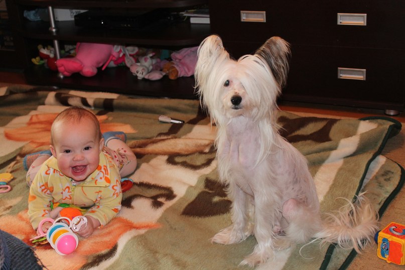 Леночка Марейчева | Ярославль