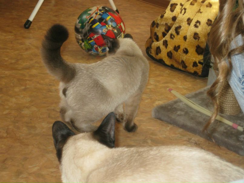 Марина Маркова | Санкт-Петербург