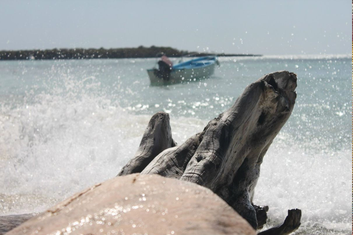Тамрико Софотерова | Москва
