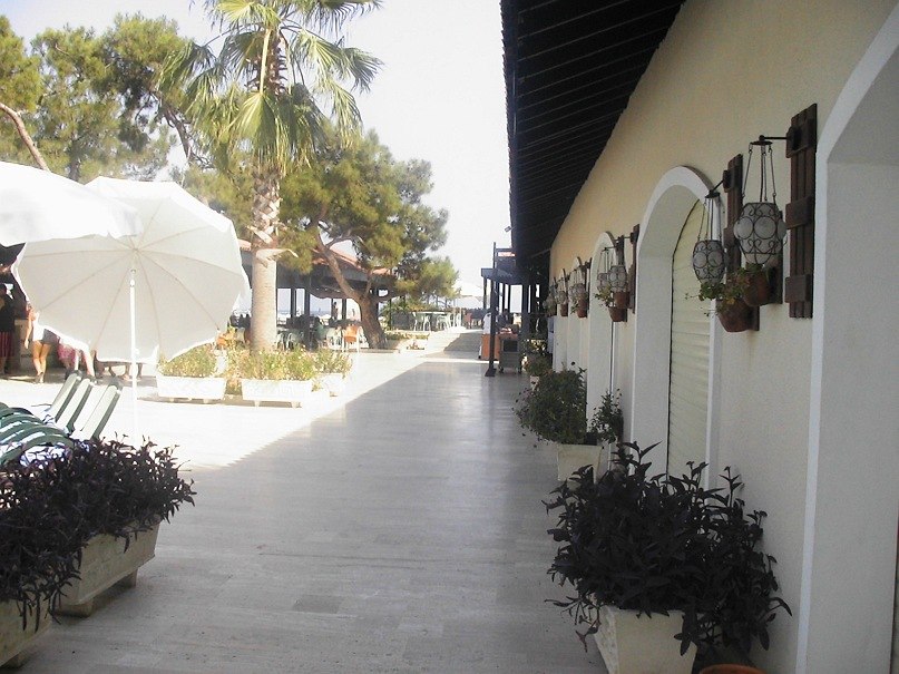 Ирина Редькина | Петропавловск