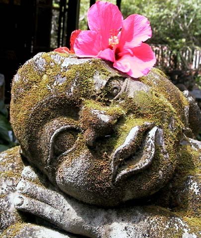 Дарья Вдовина | Москва