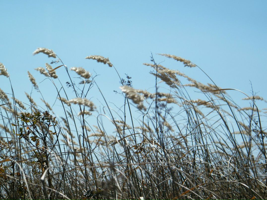 Евгений Шпилевой Александрович | Харьков