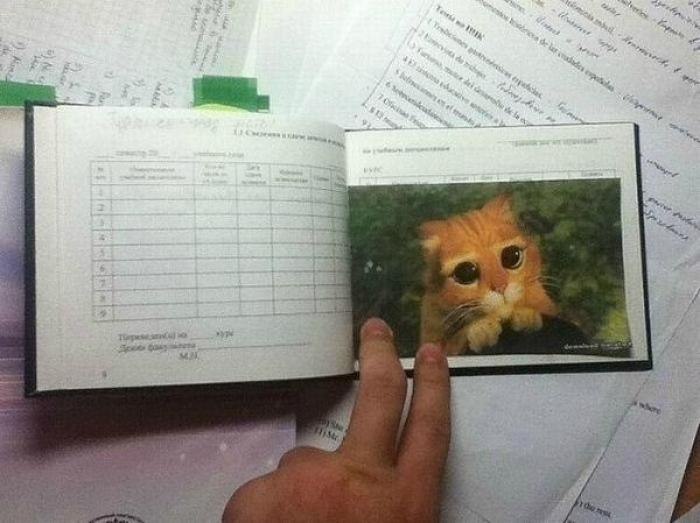 Павел Нагирняк | Киев