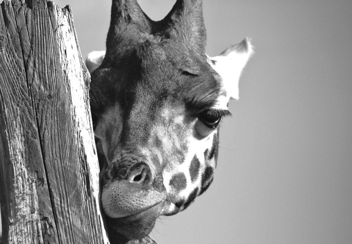 Мария Кузнецова | Perth