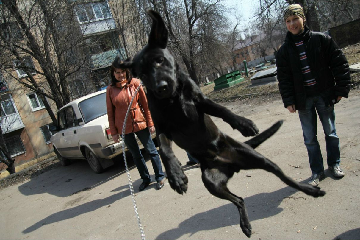 Руслан Ковальский | Днепр (Днепропетровск)