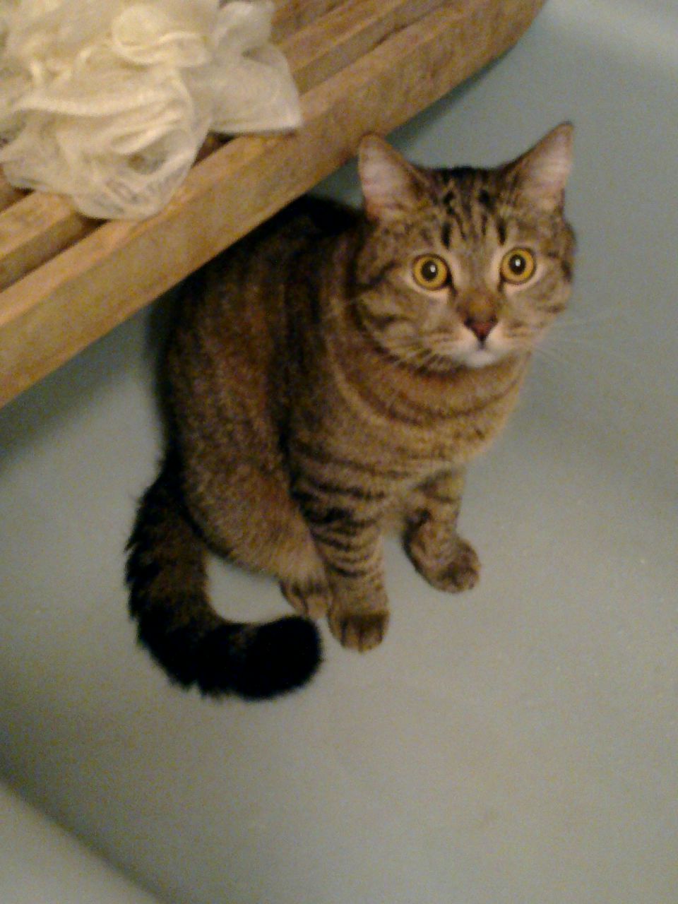 Лелька Яковлева | Москва