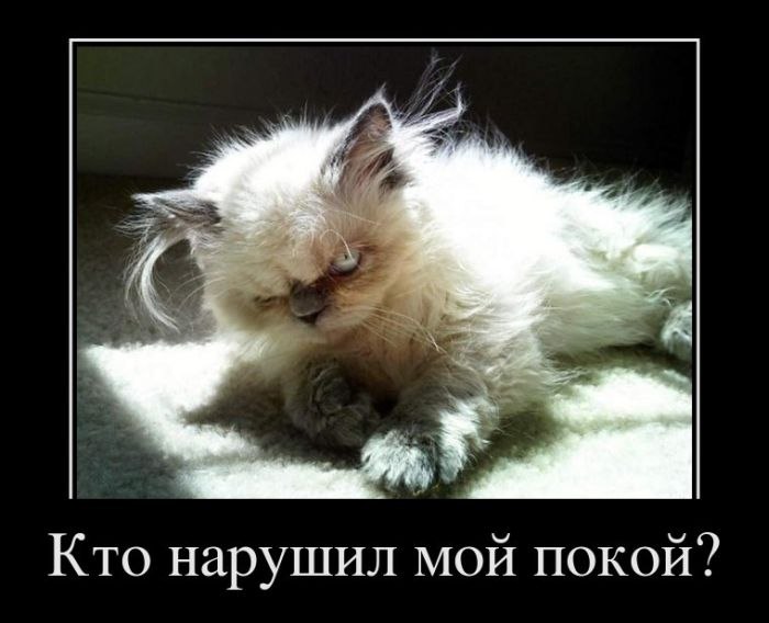 Владимир Вартебас | Санкт-Петербург