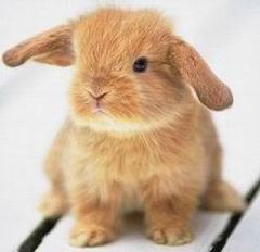 Виктория Ковалёва | Уфа