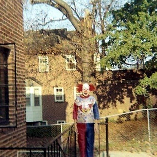 Евгений Чернышёв | 