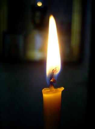 №14, Анна Коновалова №14, Анна Коновалова