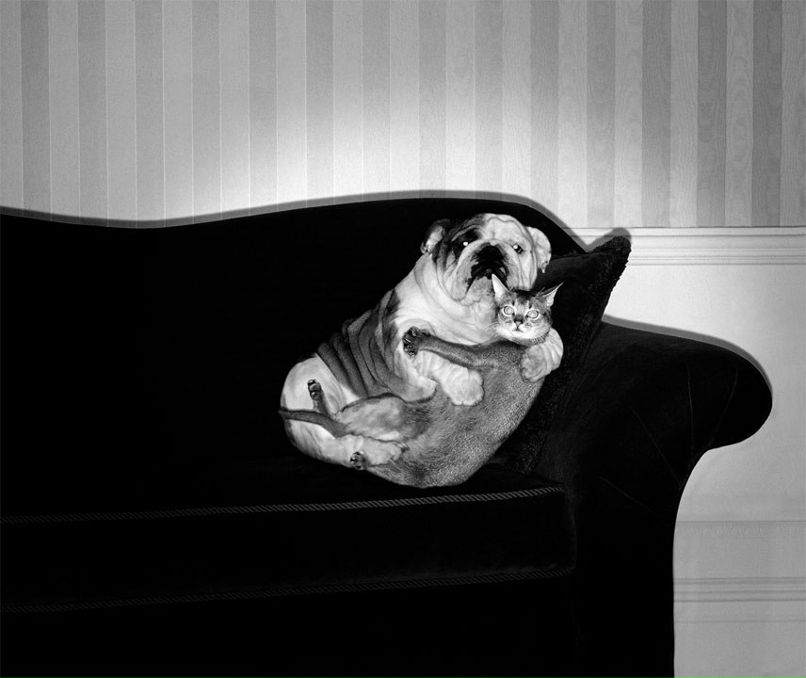 Анастасия Биричевская | Москва