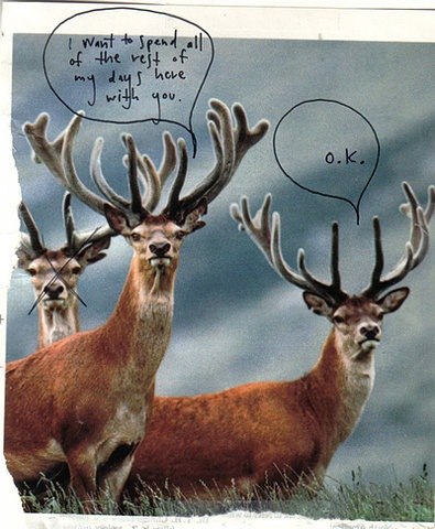 Nastya Buzhbetskih | Одесса