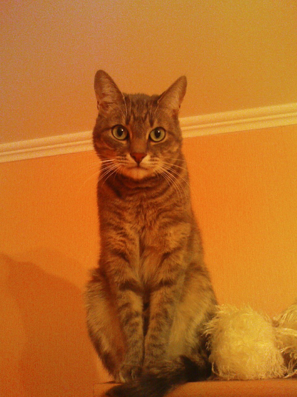 Владислав Паращук | Москва