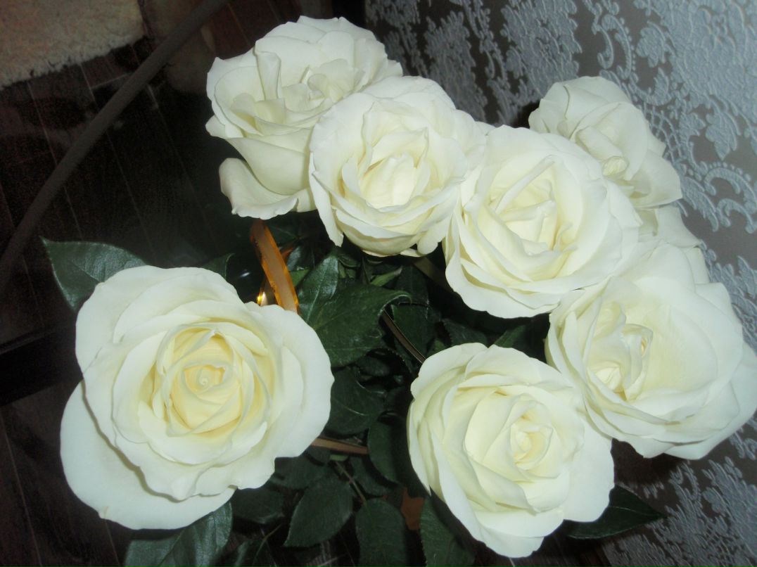 Натали Федчунова | 