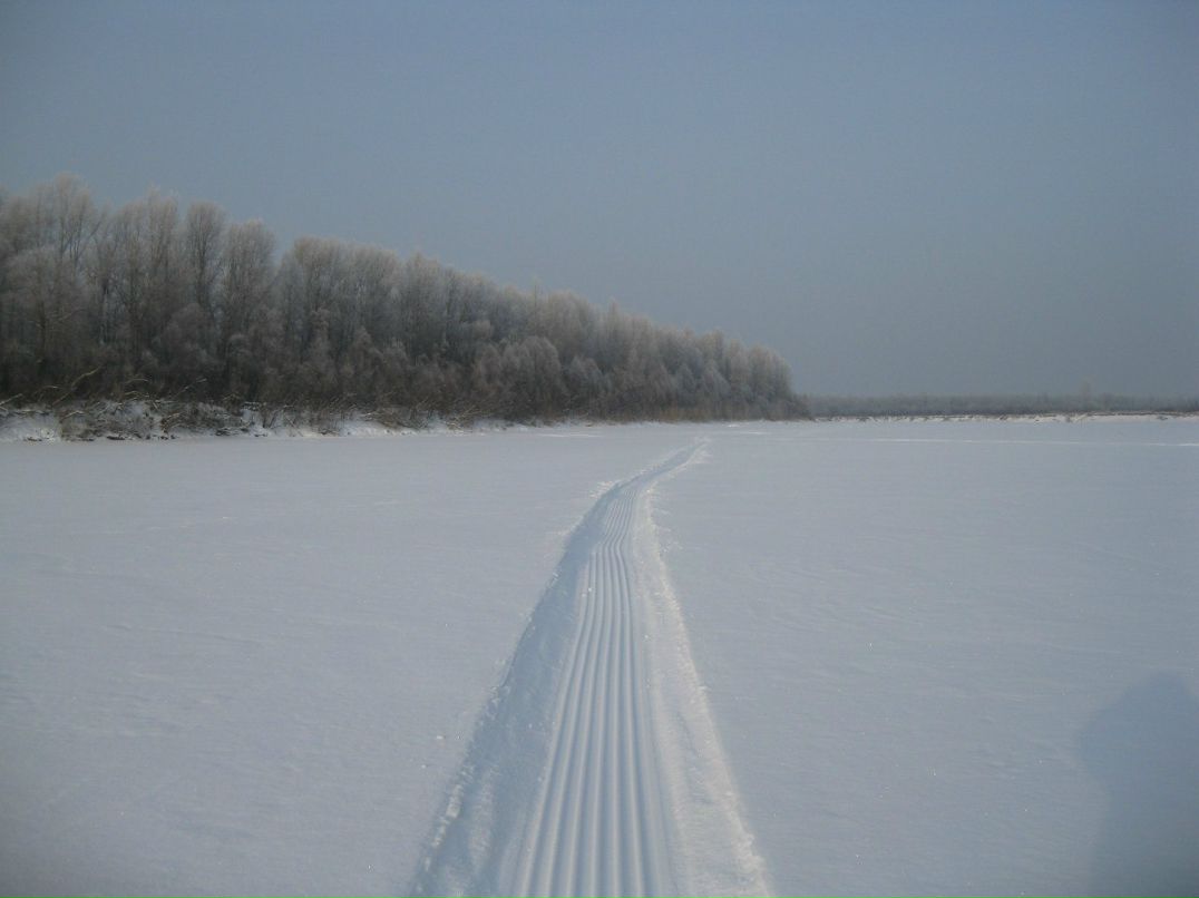 Александр Жарков Владимирович | Томск