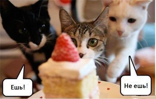 Надежда Ланина | Новосибирск