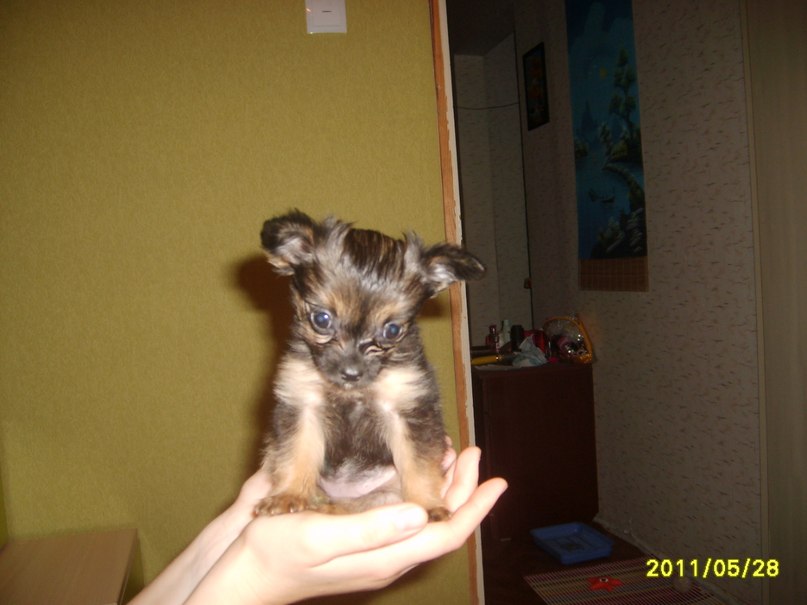 Оксана Бельская | Ульяновск