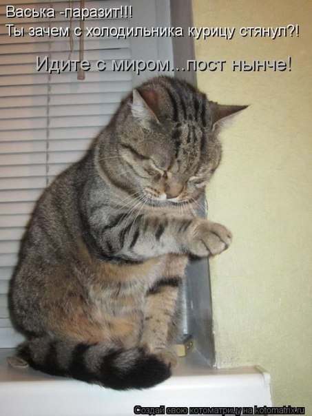 Алексей Хотченков (●̮̮̃●̃) | Быхов