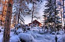 №30 Шурочка Барбер