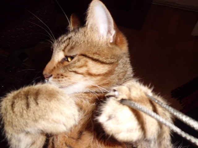 Наталья Глушко | Киев