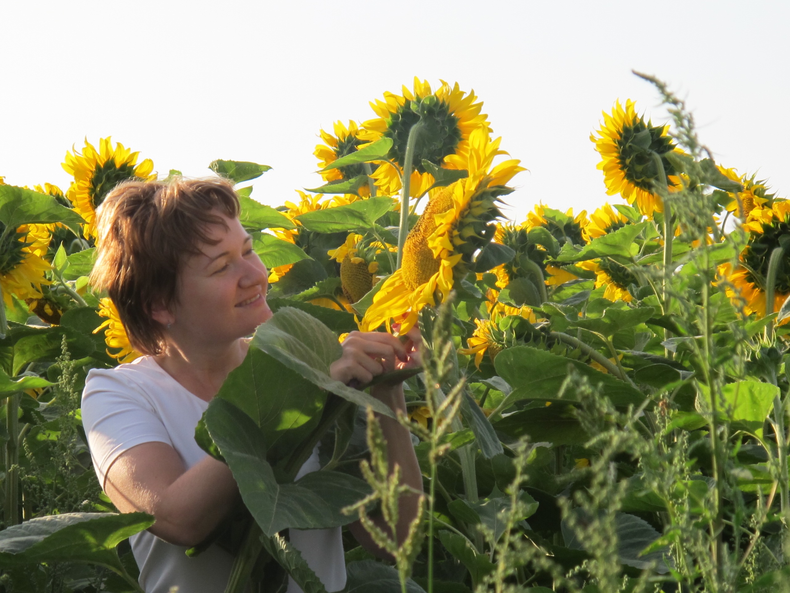 Фото профиля